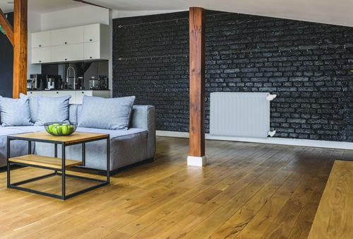 Radiateur eau chaude horizontal 1065W, H.75 x l.52 cm, type 22, Reggane 3010 Compact - Finimetal